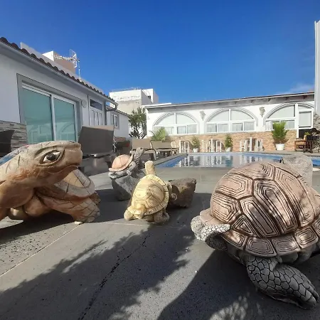 Tenerife Little Village S Apartment San Isidro (Tenerife)